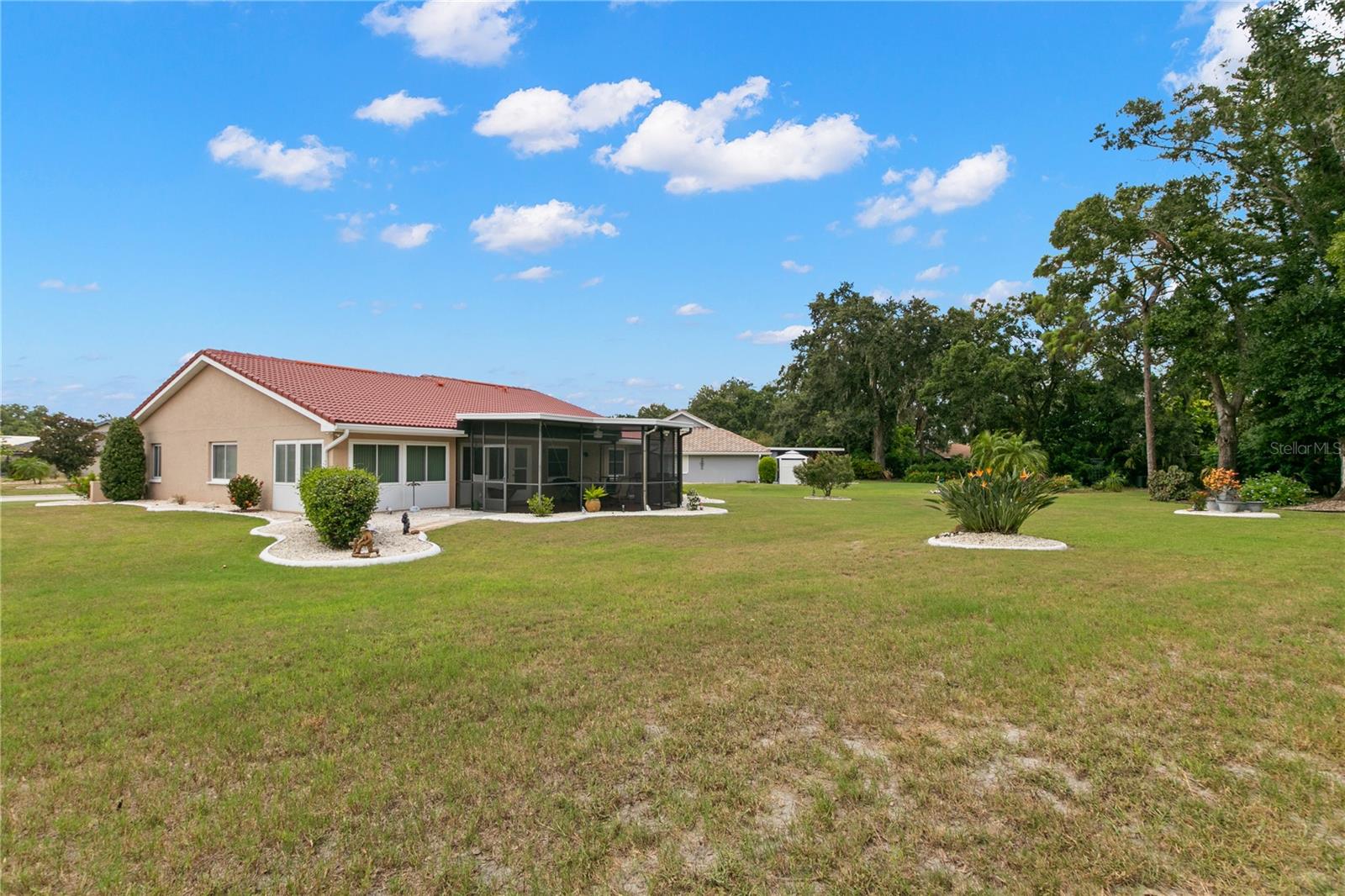 Expansive Back Yard