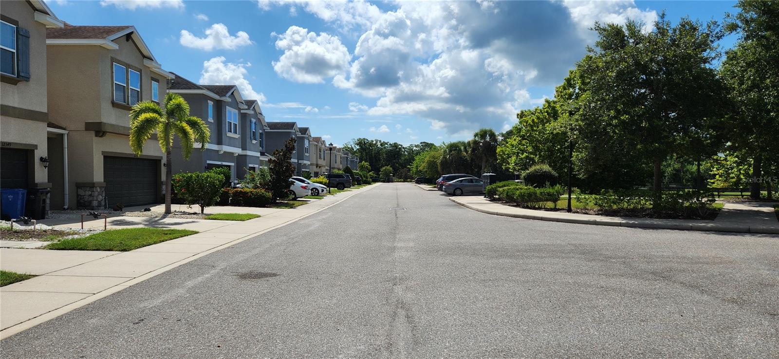 Driveway View - East