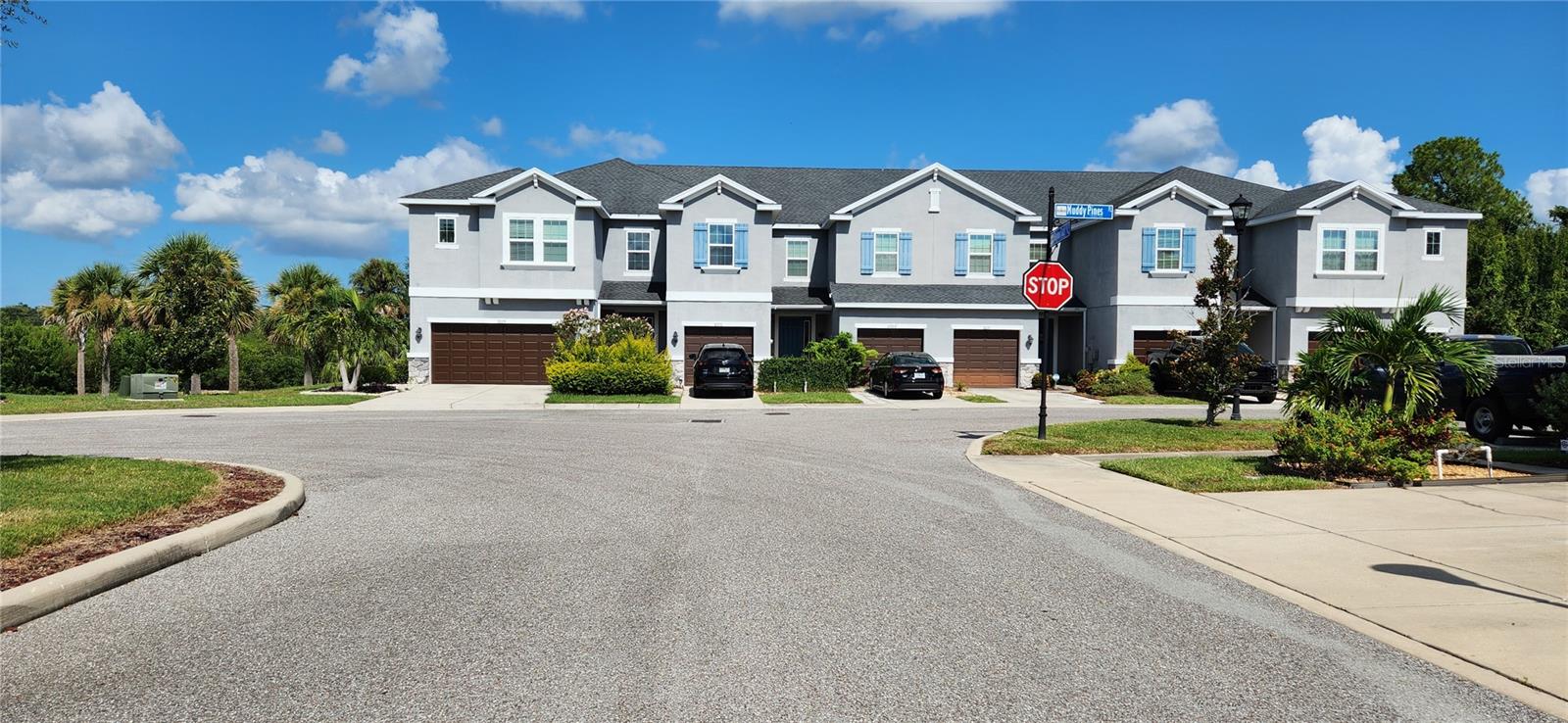 Driveway View - West