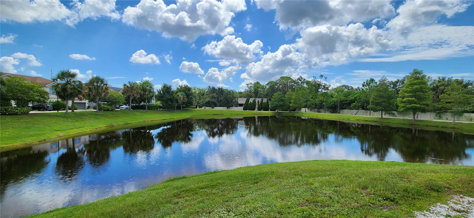 Pond View
