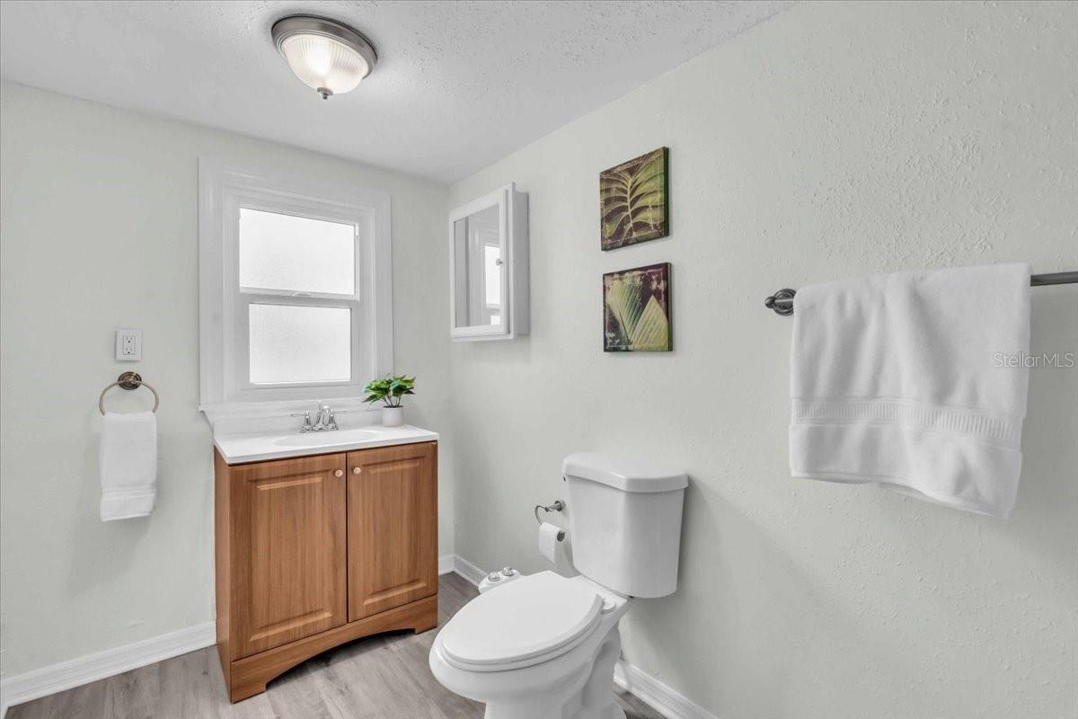 Guest bathroom