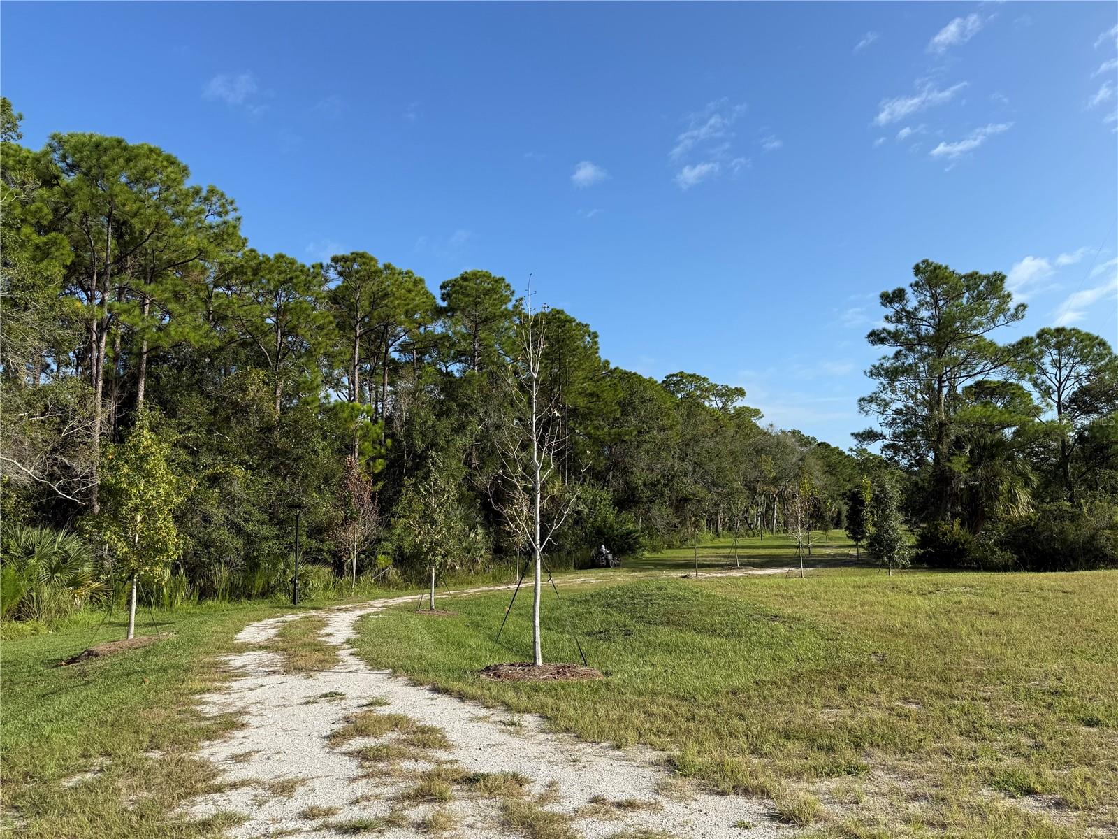 Walking Trail