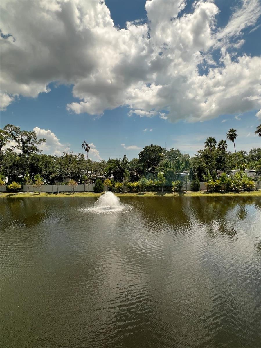 view from the lanai