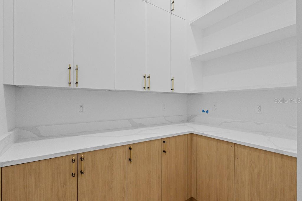 Kitchen Pantry