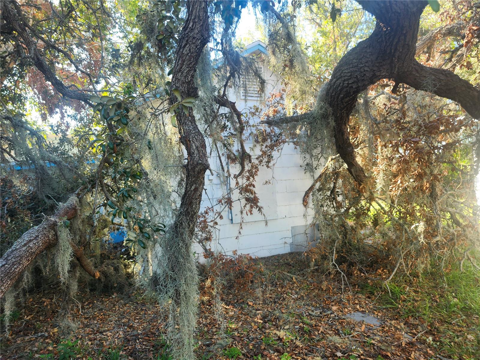 W7877978