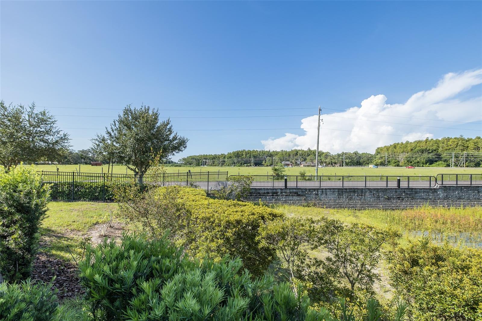 View toward cow field from outdoor patio