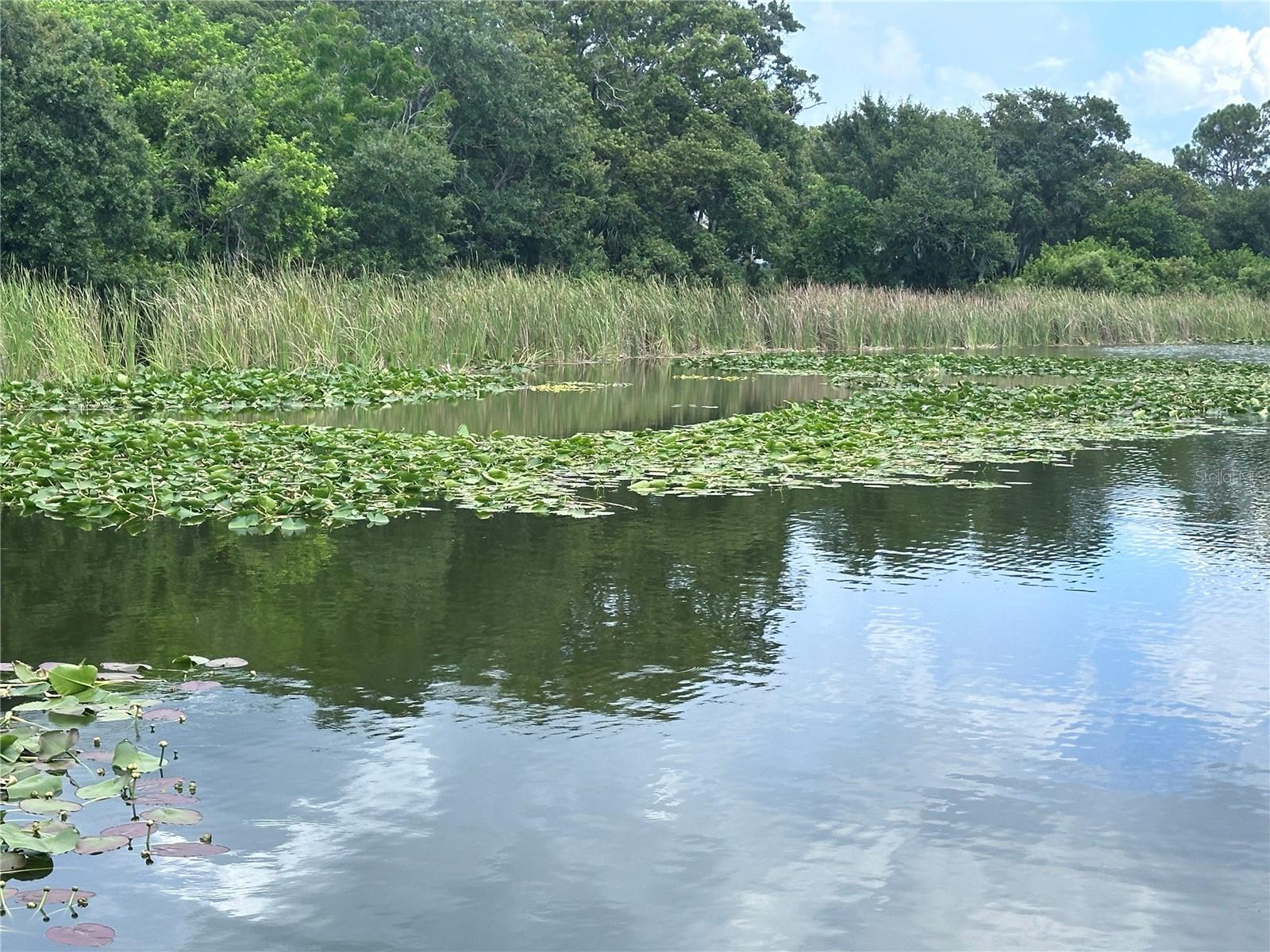 Lake St. George