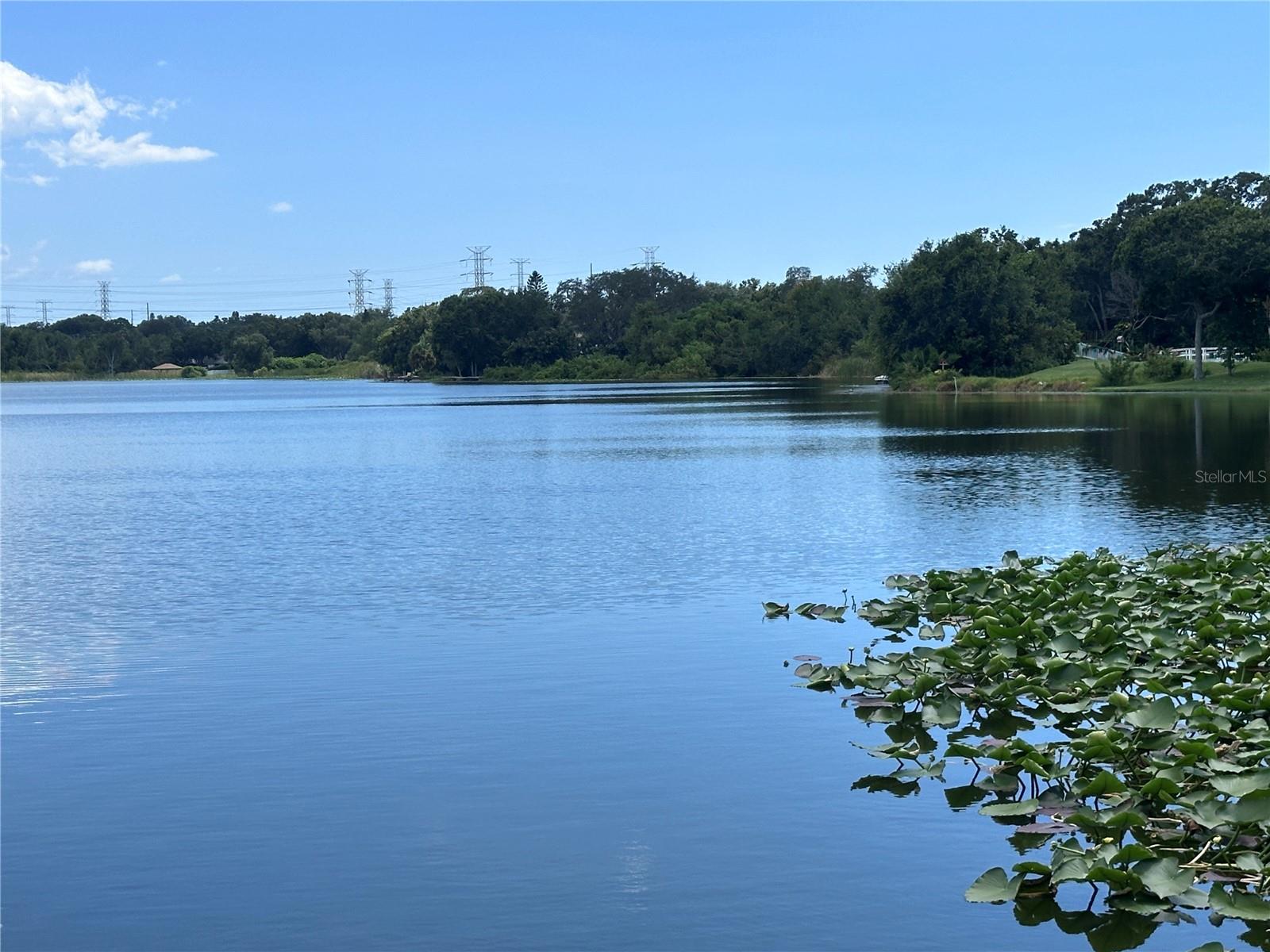 View of Lake St. George from Community Dock