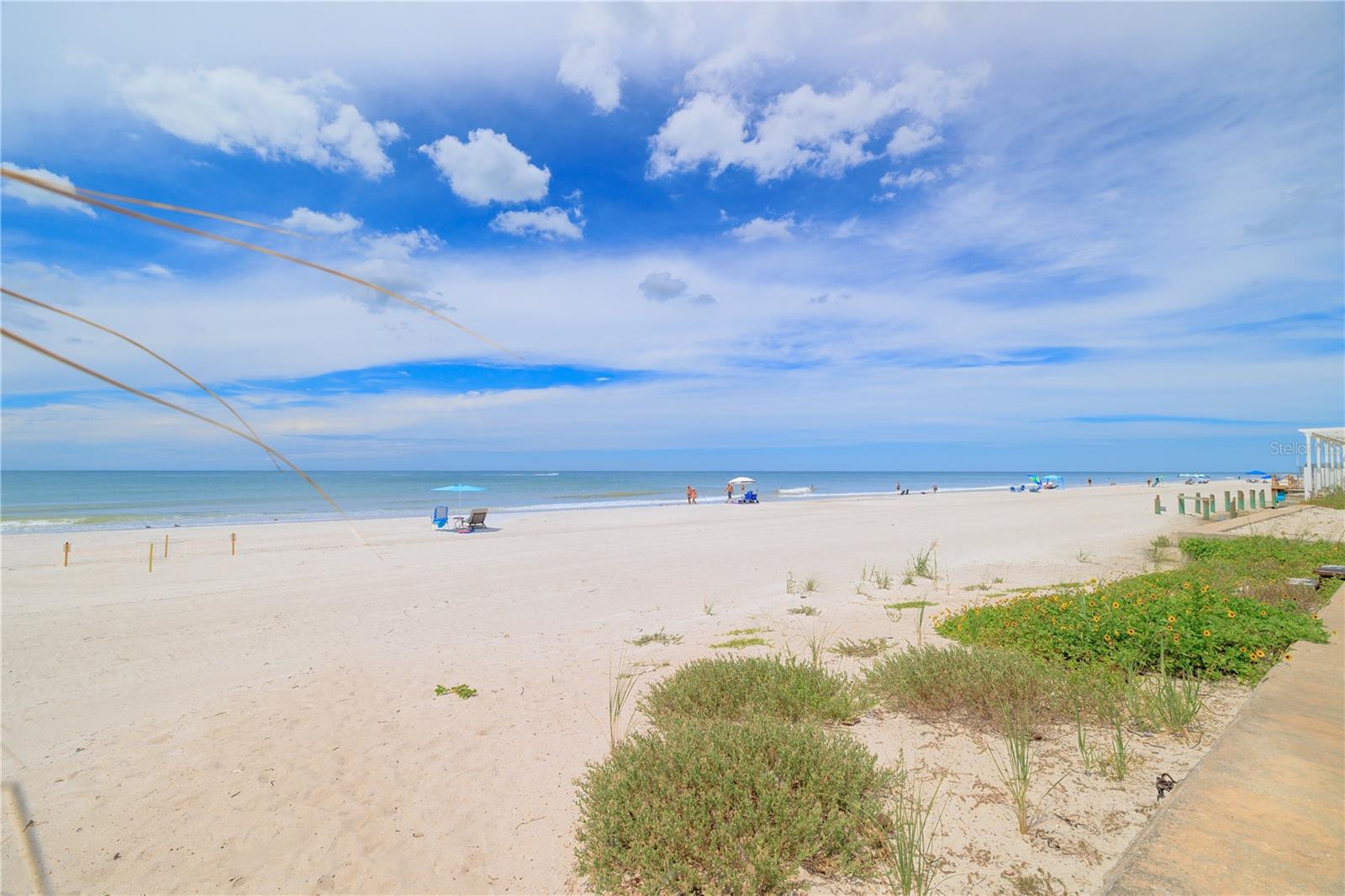 Indian Rocks Beach !