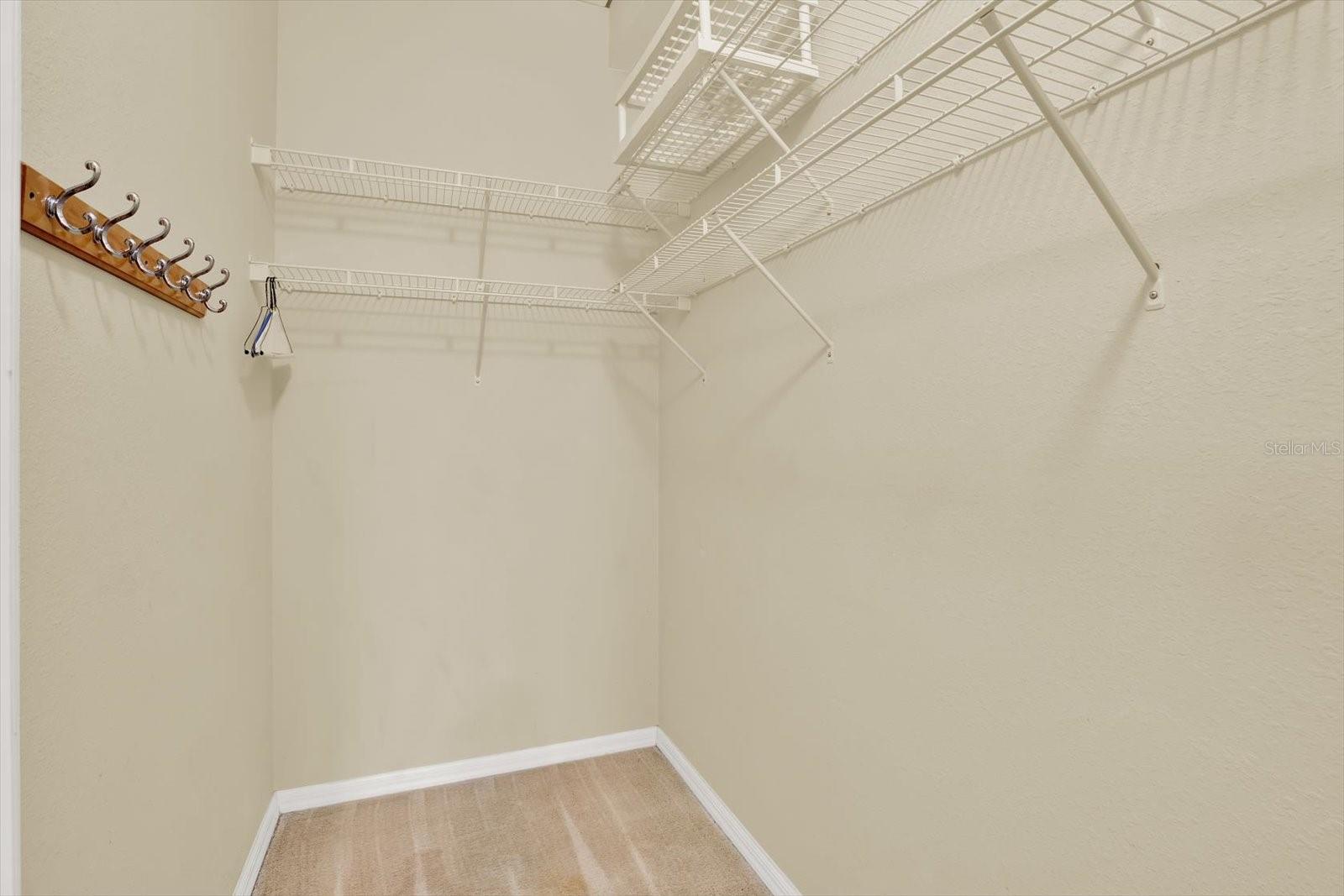 Guest Room Walk-In Closet