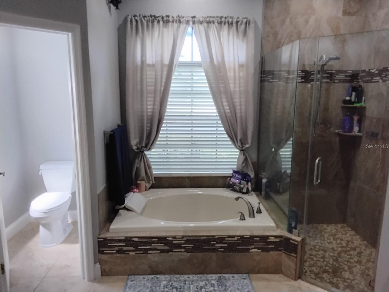 Master bathroom