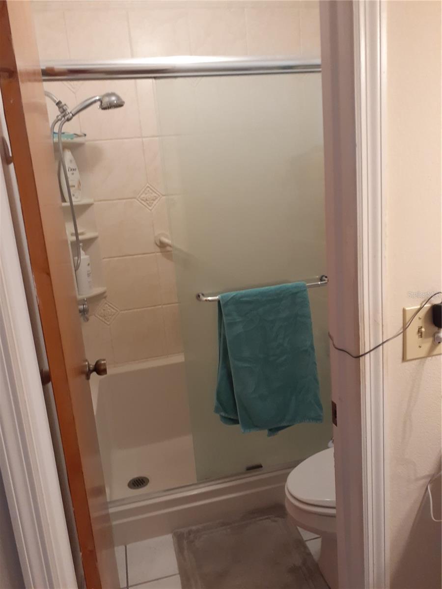 Primary Shower