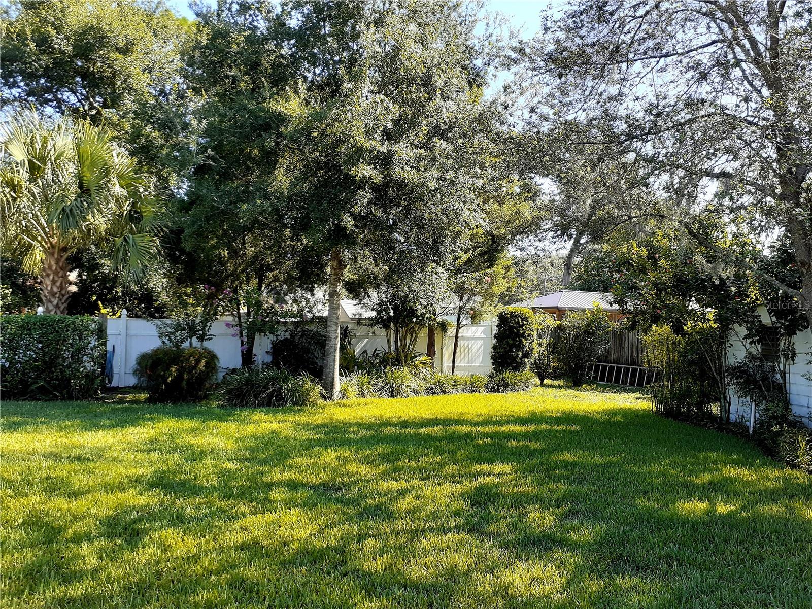 Large lush backyard
