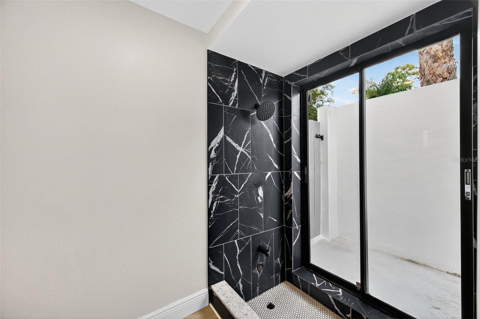 Master/Pool Bathroom