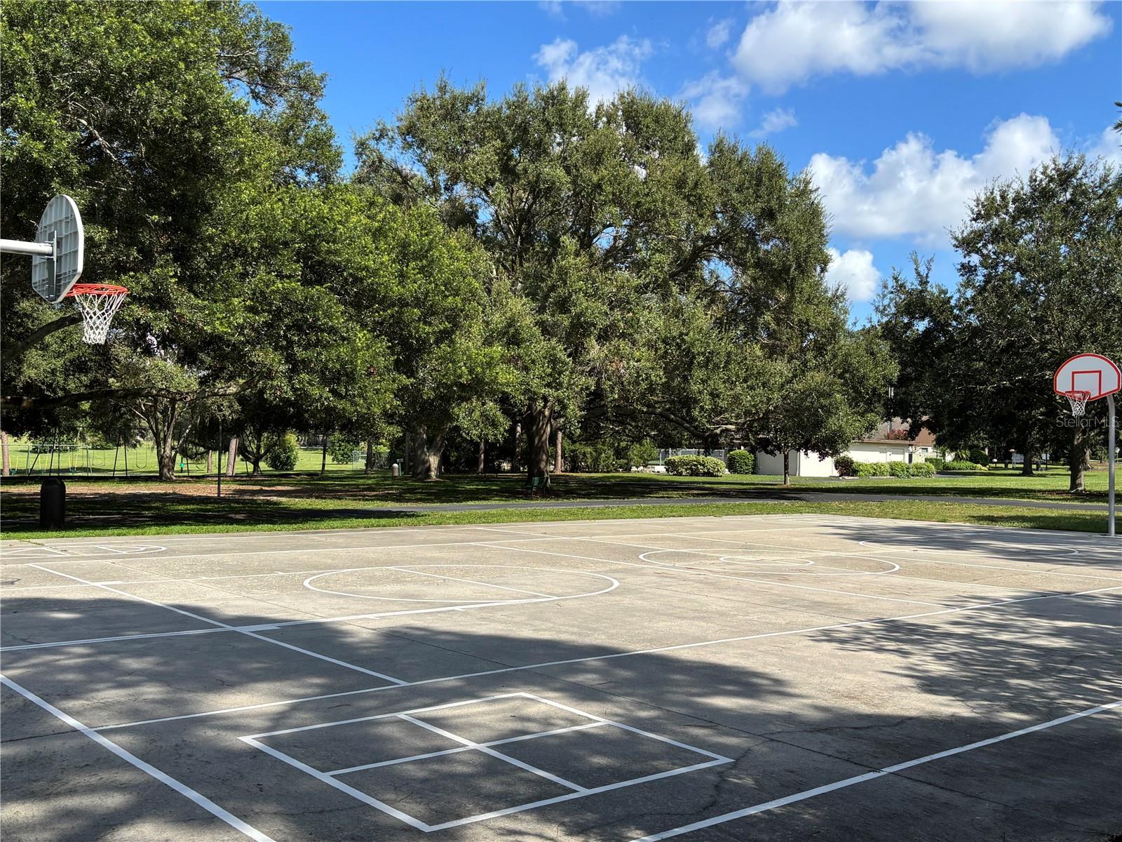 Basketball Court