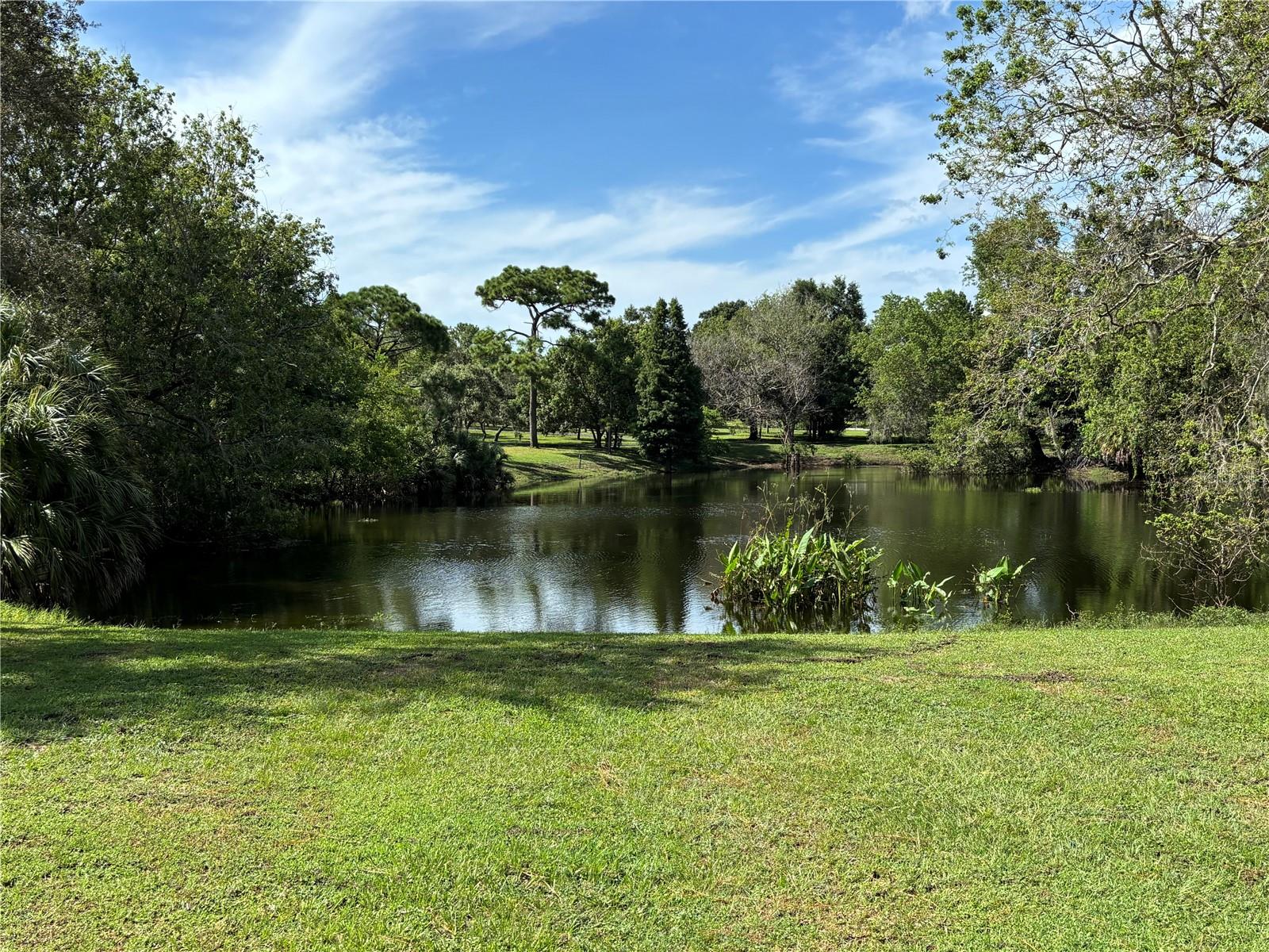 Lake in the park