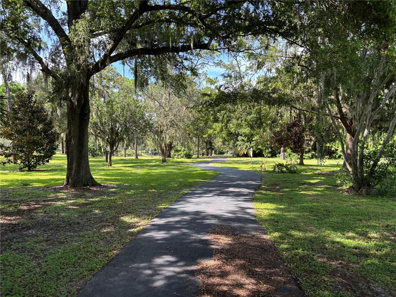 Shaddy trail
