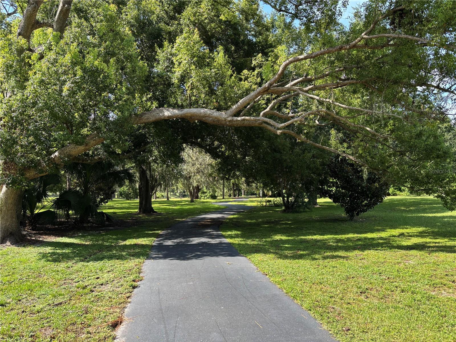 Shaddy trail