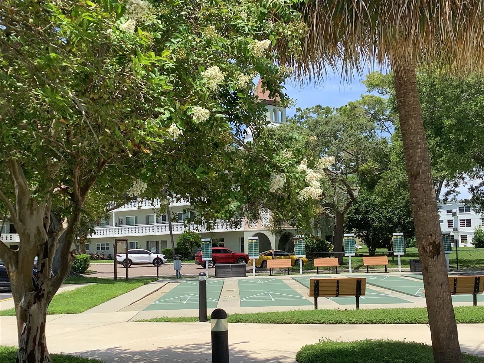 Tree lined streets, lighting and walkways all pet friendly too!