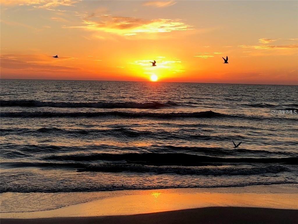 Beautiful sunsets and Sandy beaches are all a short drive away!