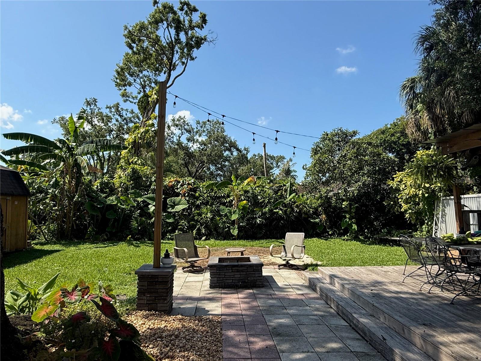 Backyard feels like it's in a remote area