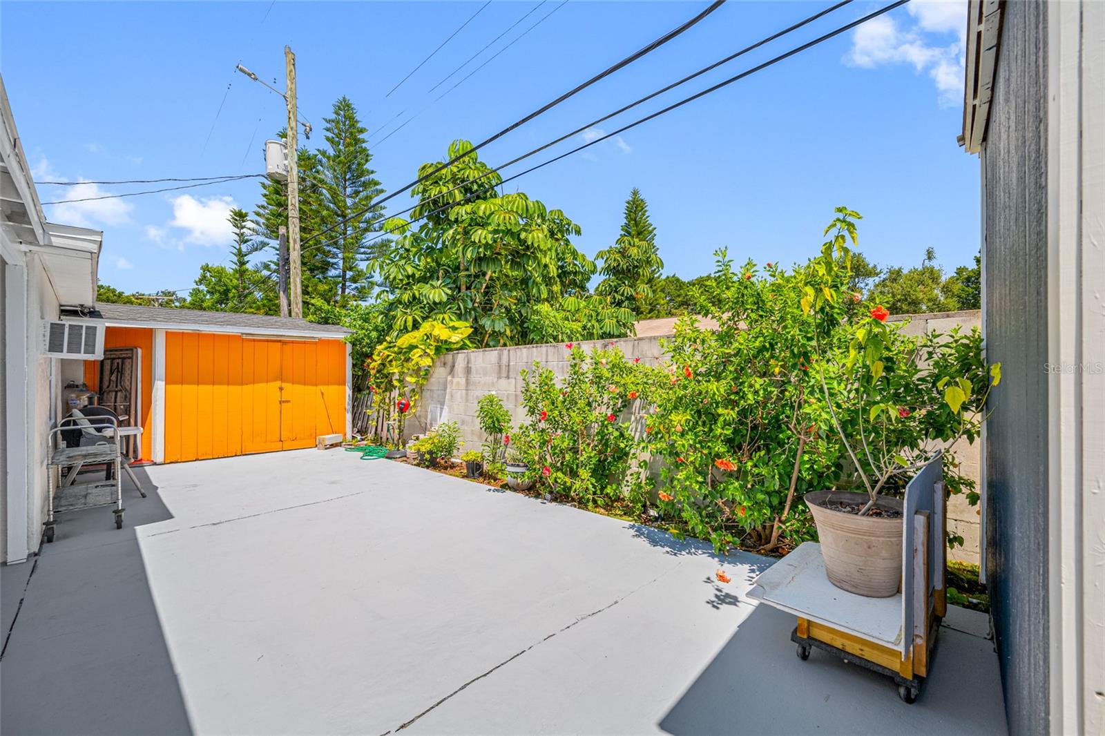 Concrete Backyard with Storage Shed