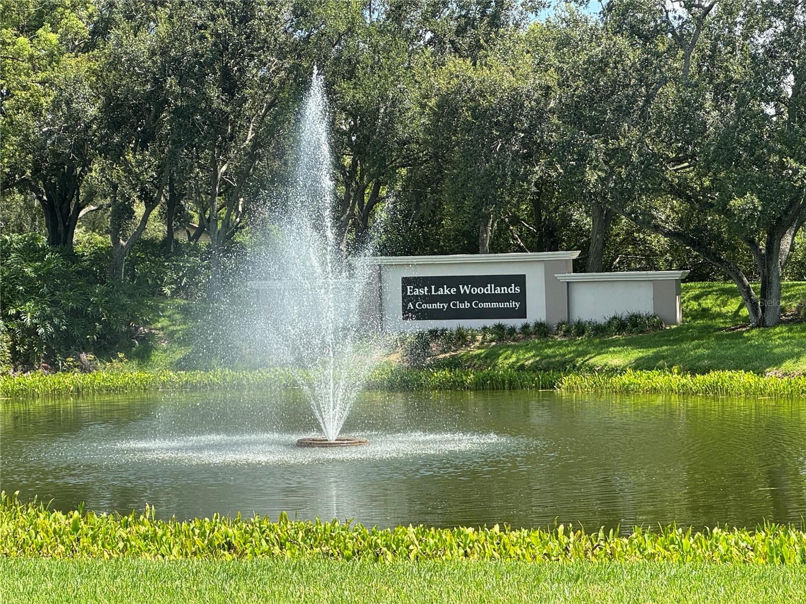 Entrance to Eastlake Woodlands from Tampa Road.