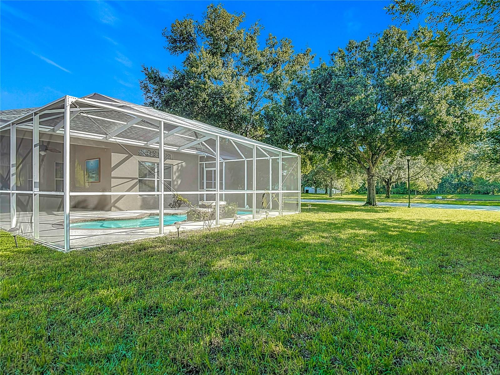 Side and backyard