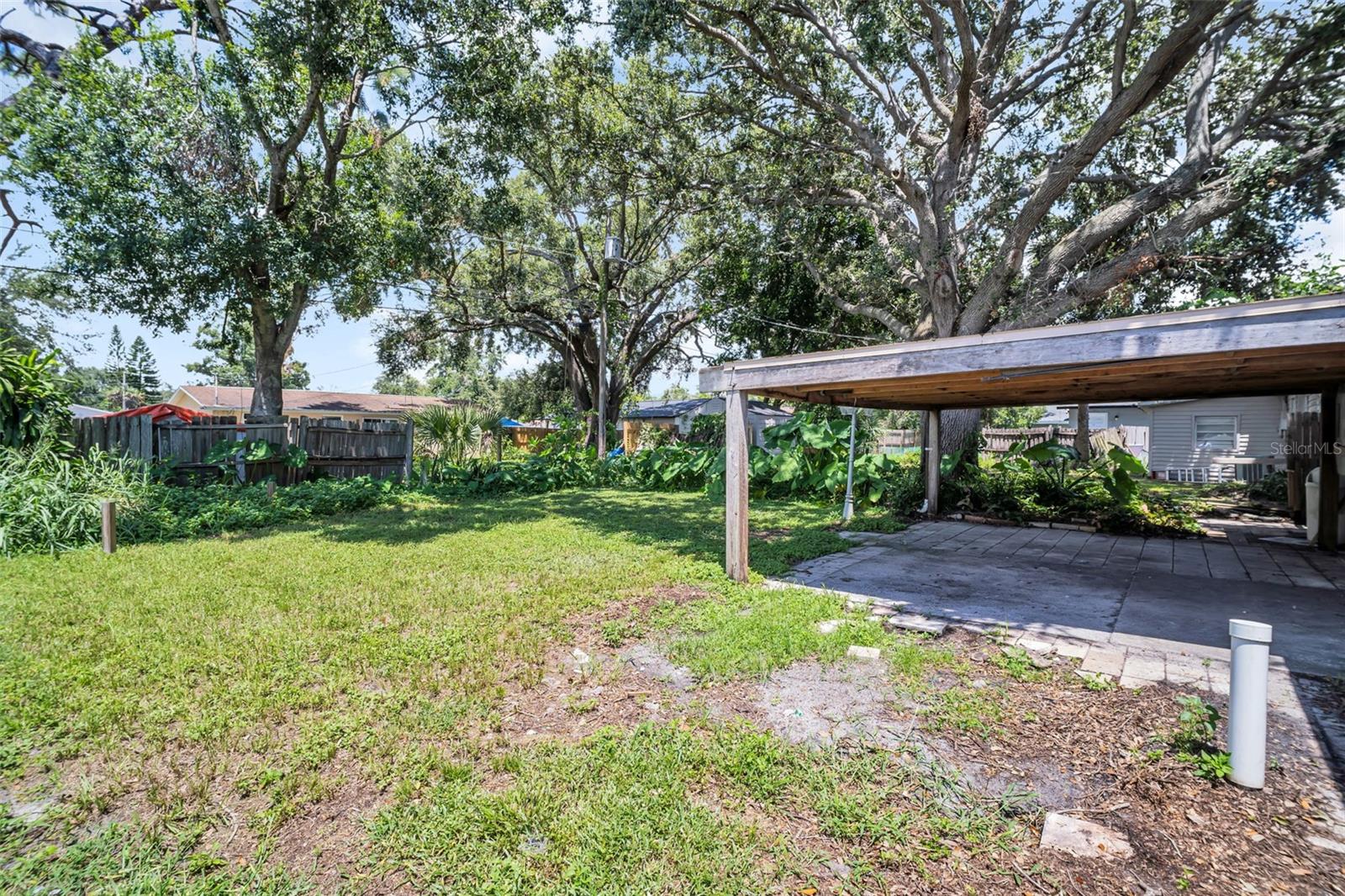 Backyard & Covered Patio