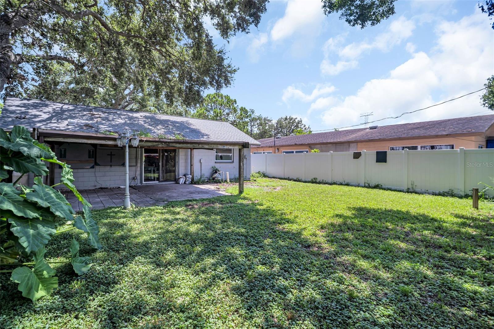 Backyard & Covered Patio