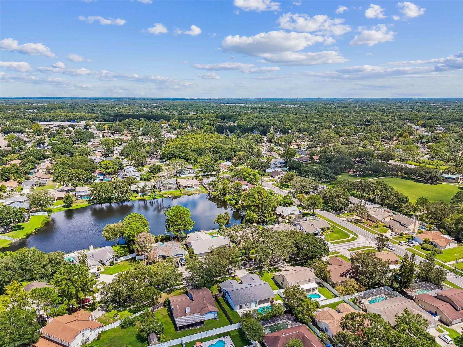 Aerial view of the neighborhood