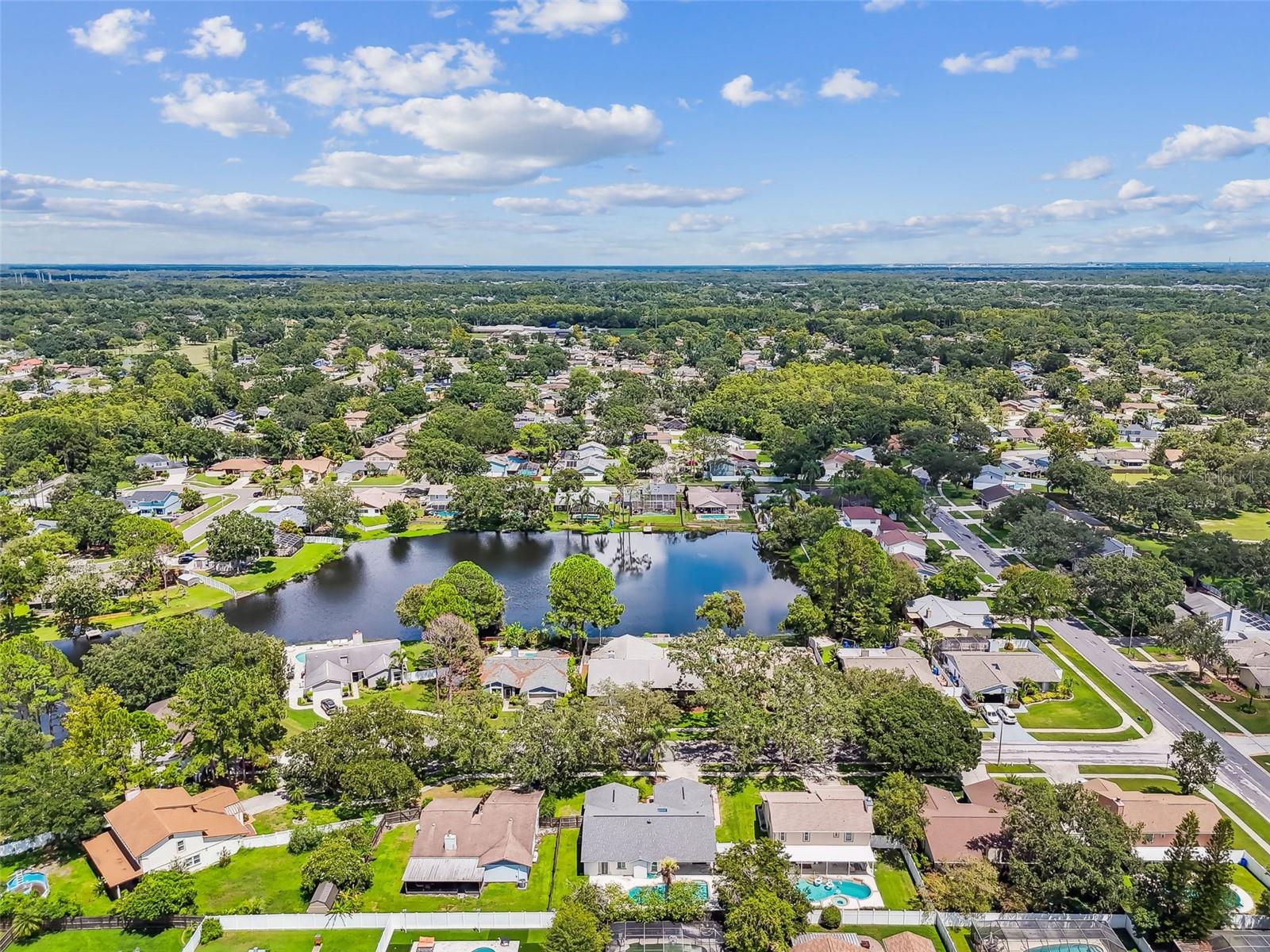 Aerial view of the neighborhood