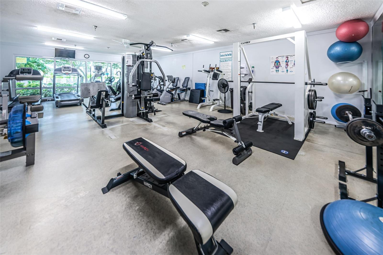 Men and women's gyms