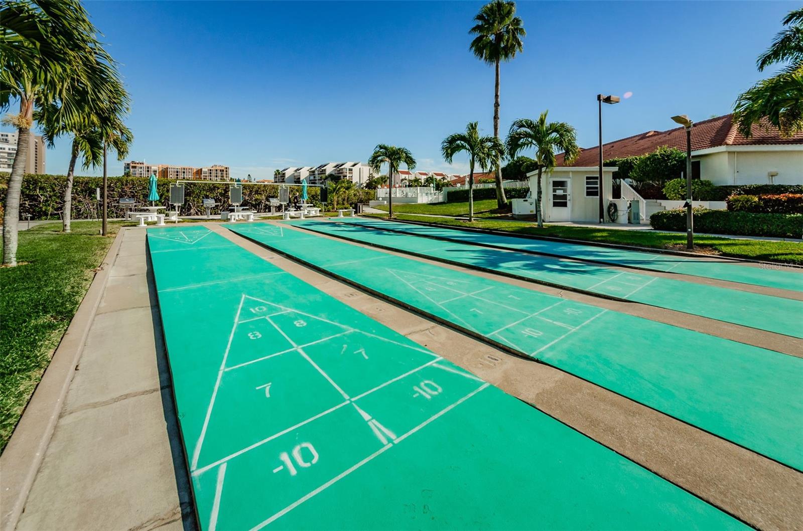 Master HOA shuffleboard