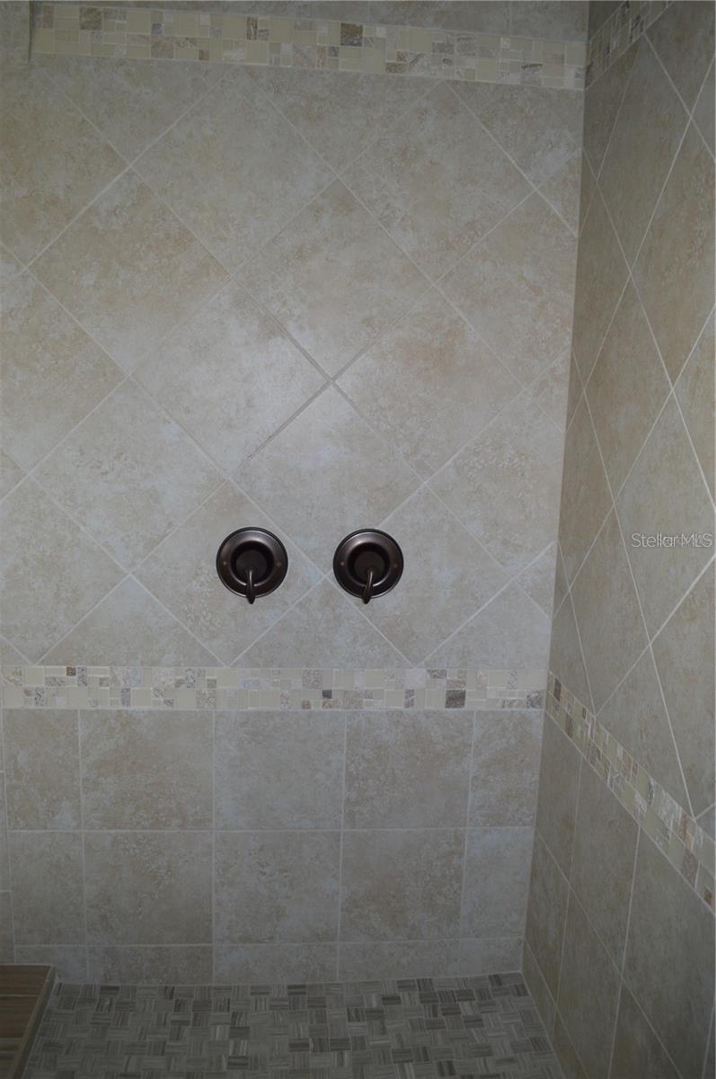 Master shower.