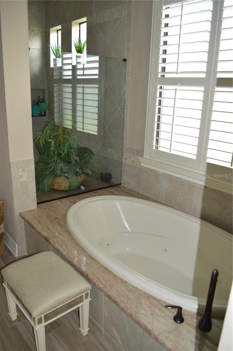 Tub in master bathroom.