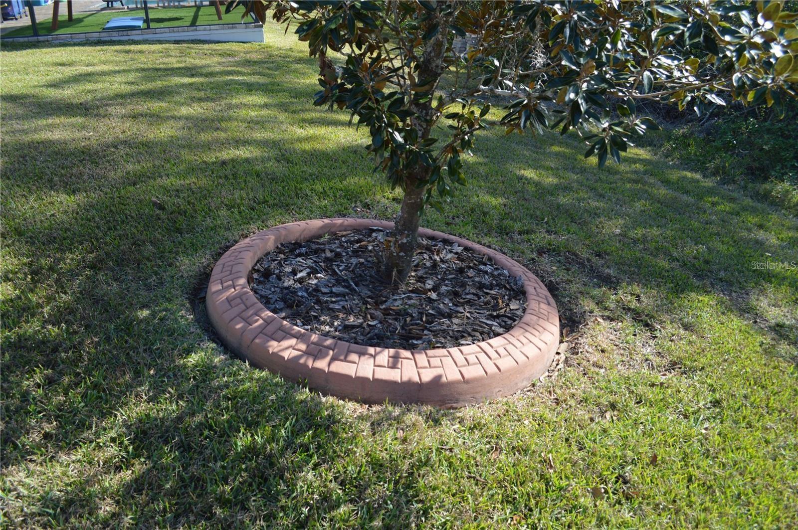 Cement tree guard rails.