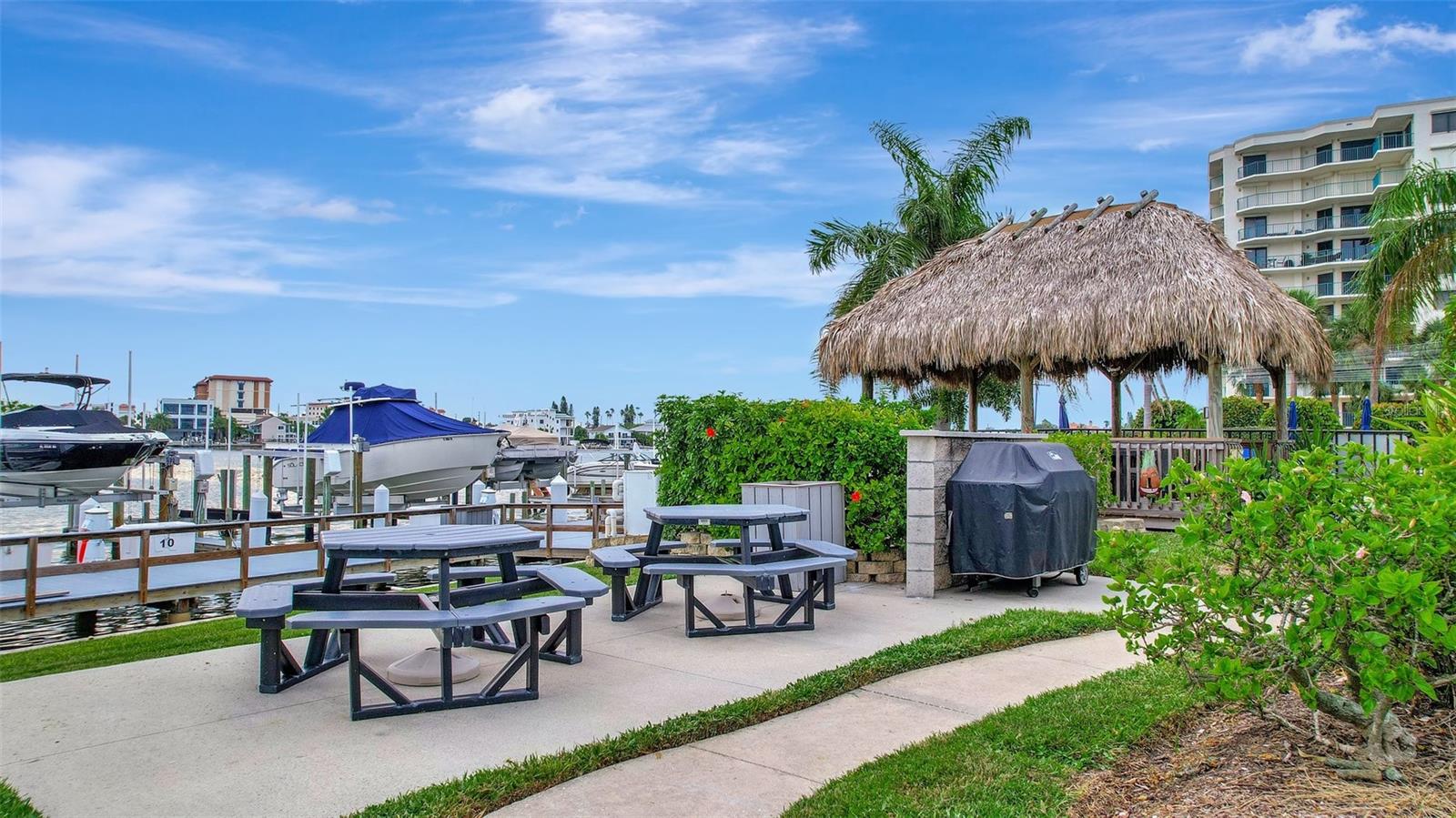 Grill and Picnic table area