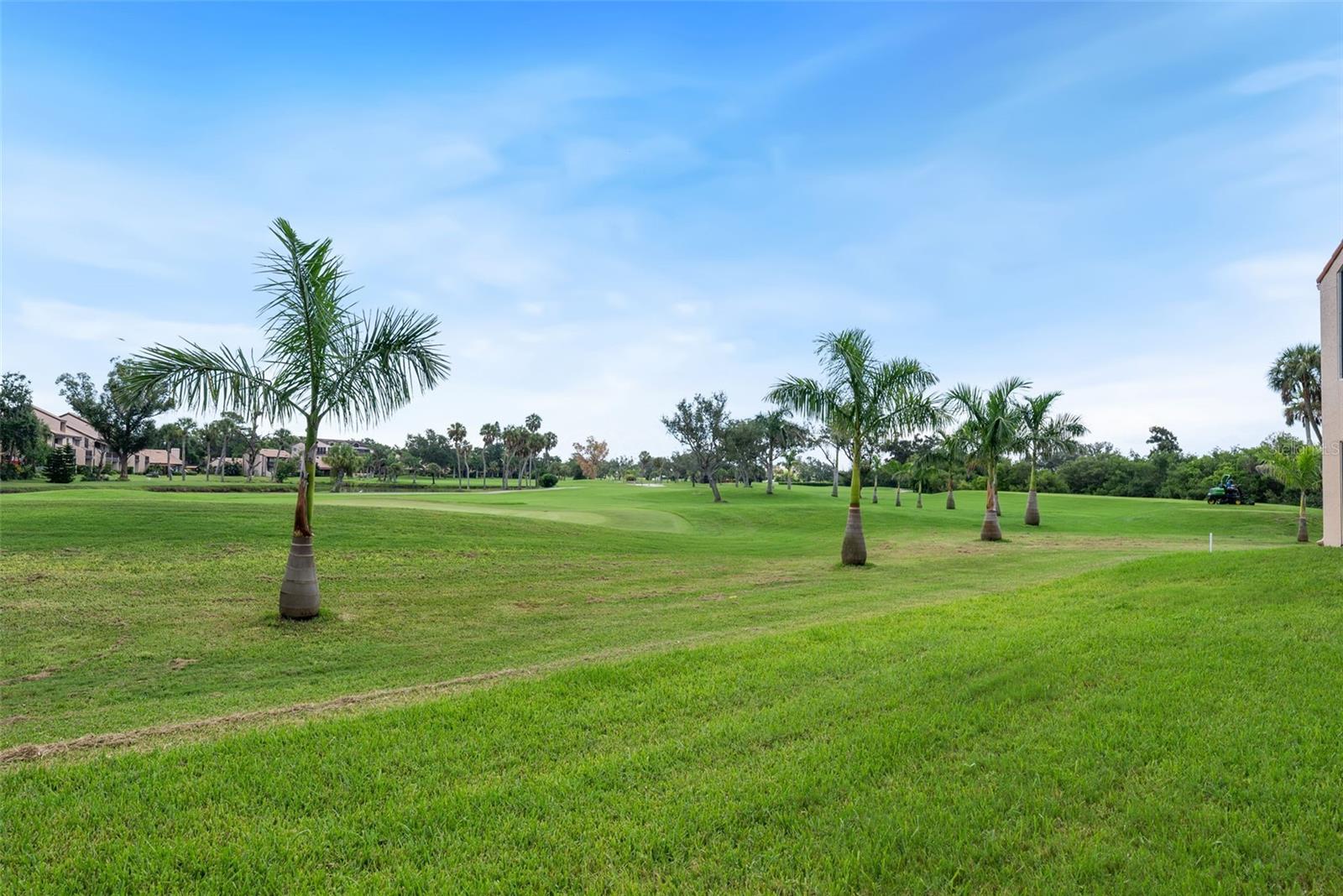 Golf fairway view