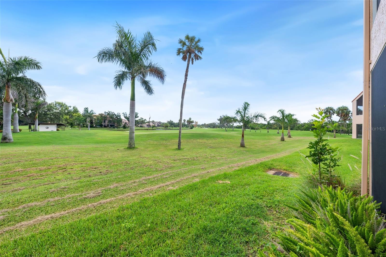 Golf course view