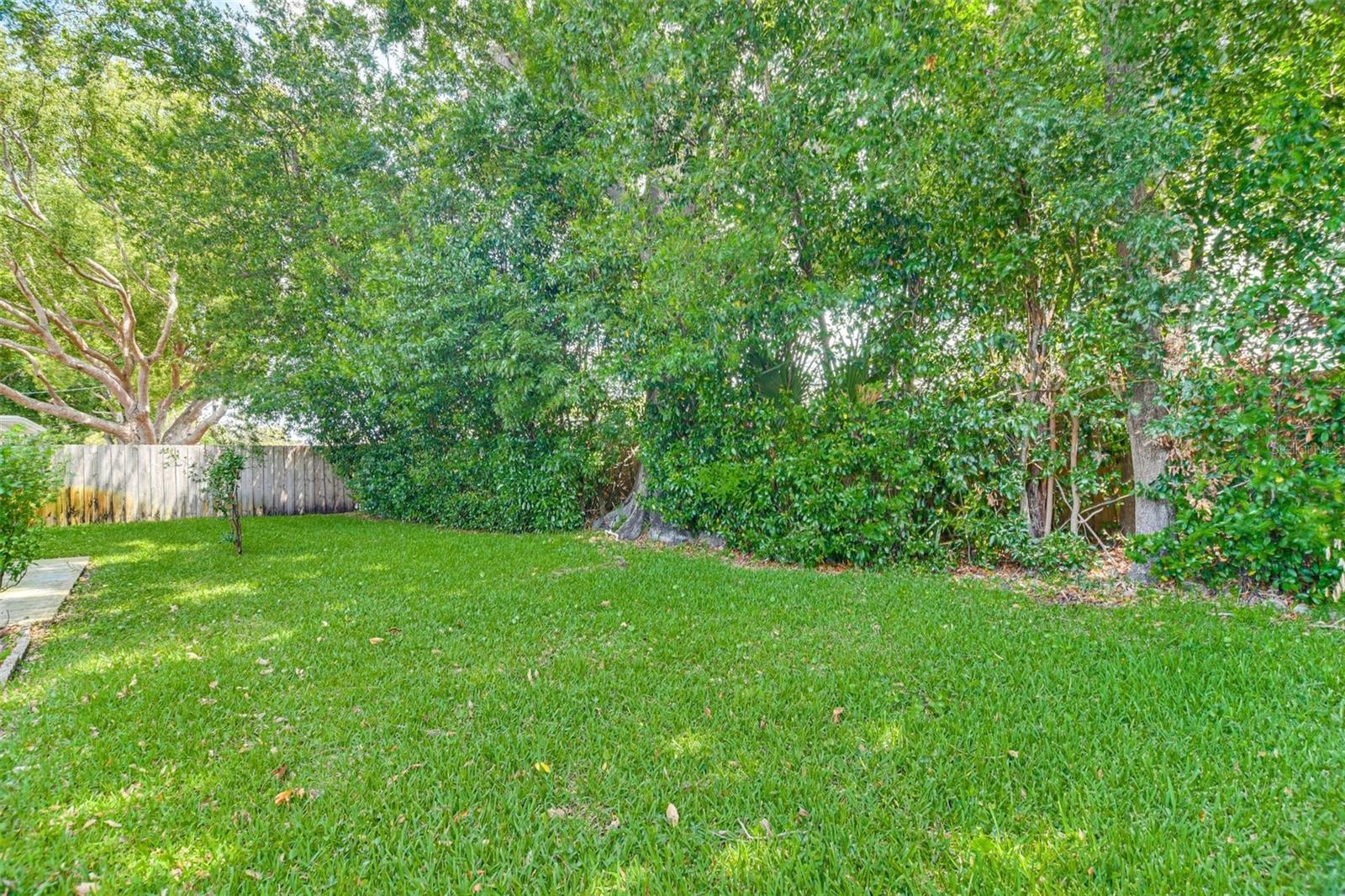 Back yard