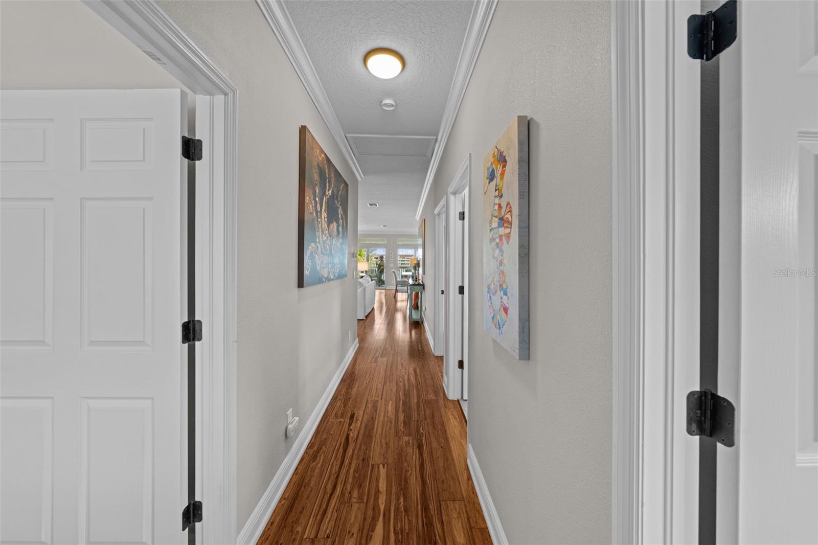 Hallway to Living Area