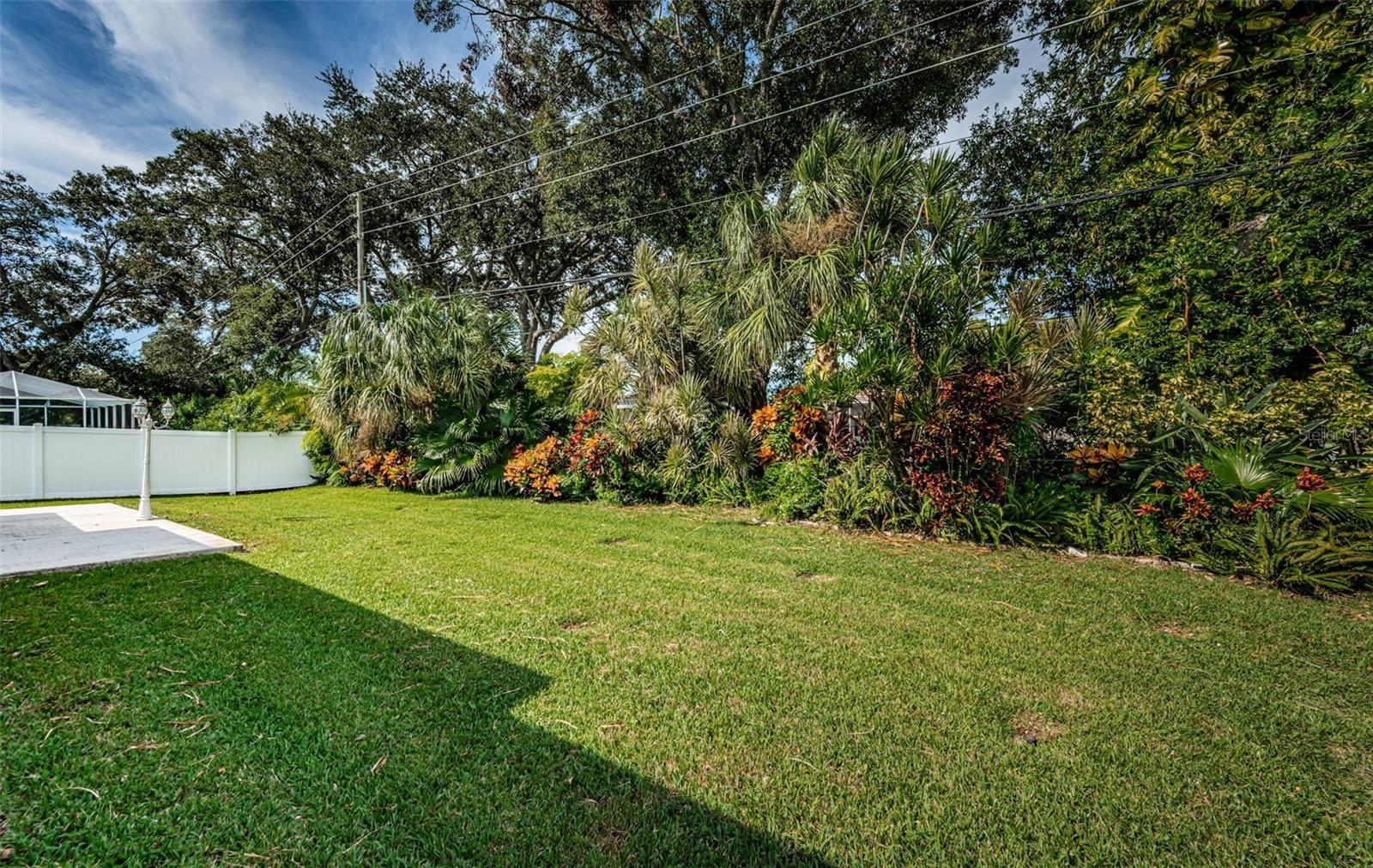 Tropical Landscaping