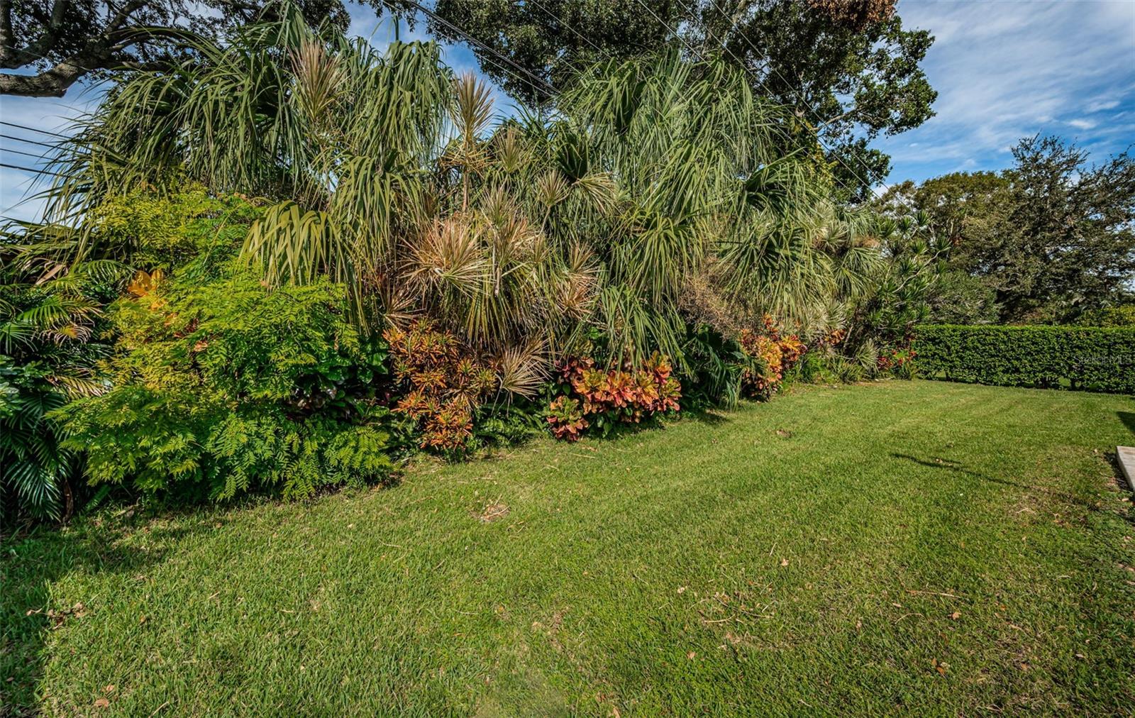 Lush Landscaping