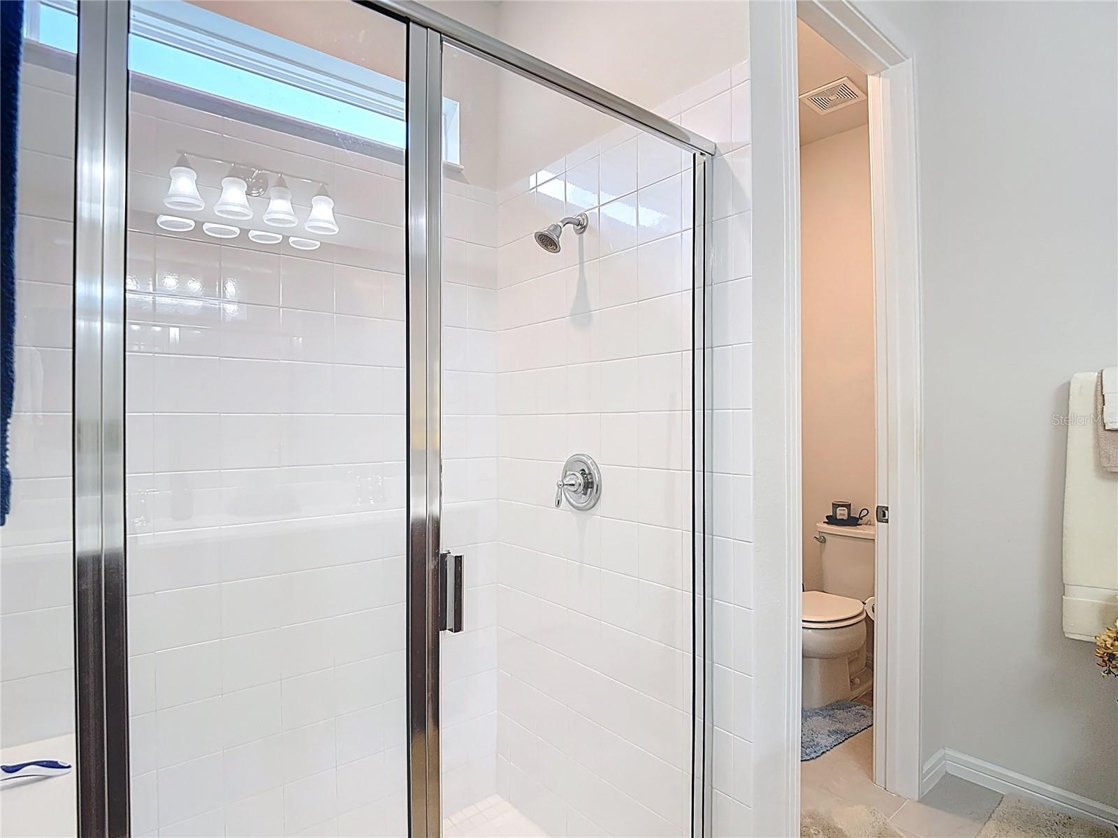 Primary Bathroom Shower