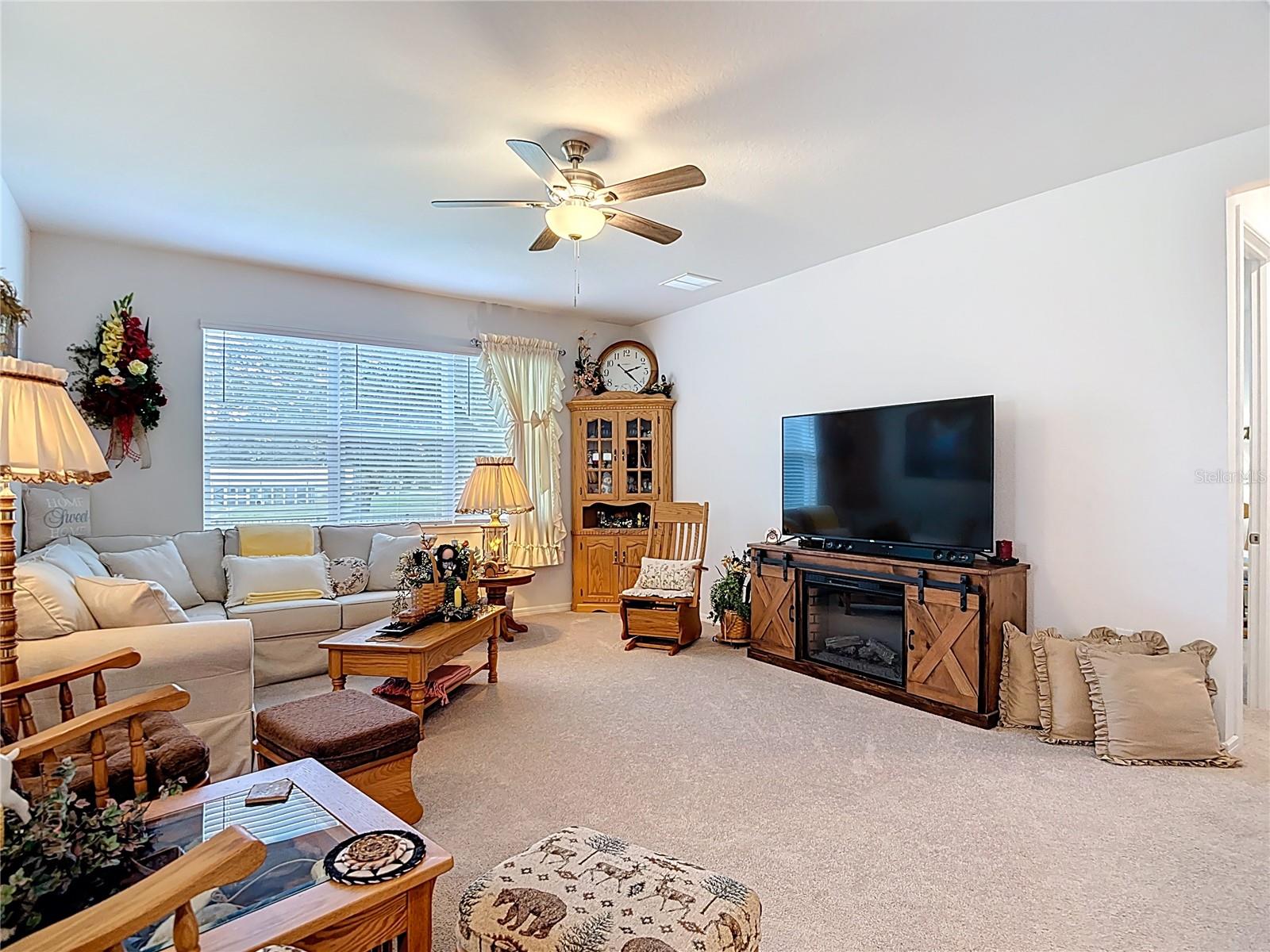 Living Room/Family Room