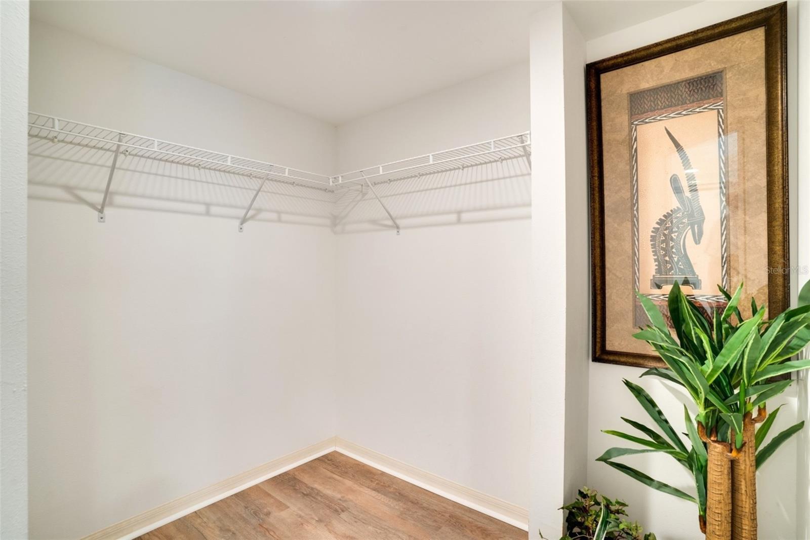 Primary Closet