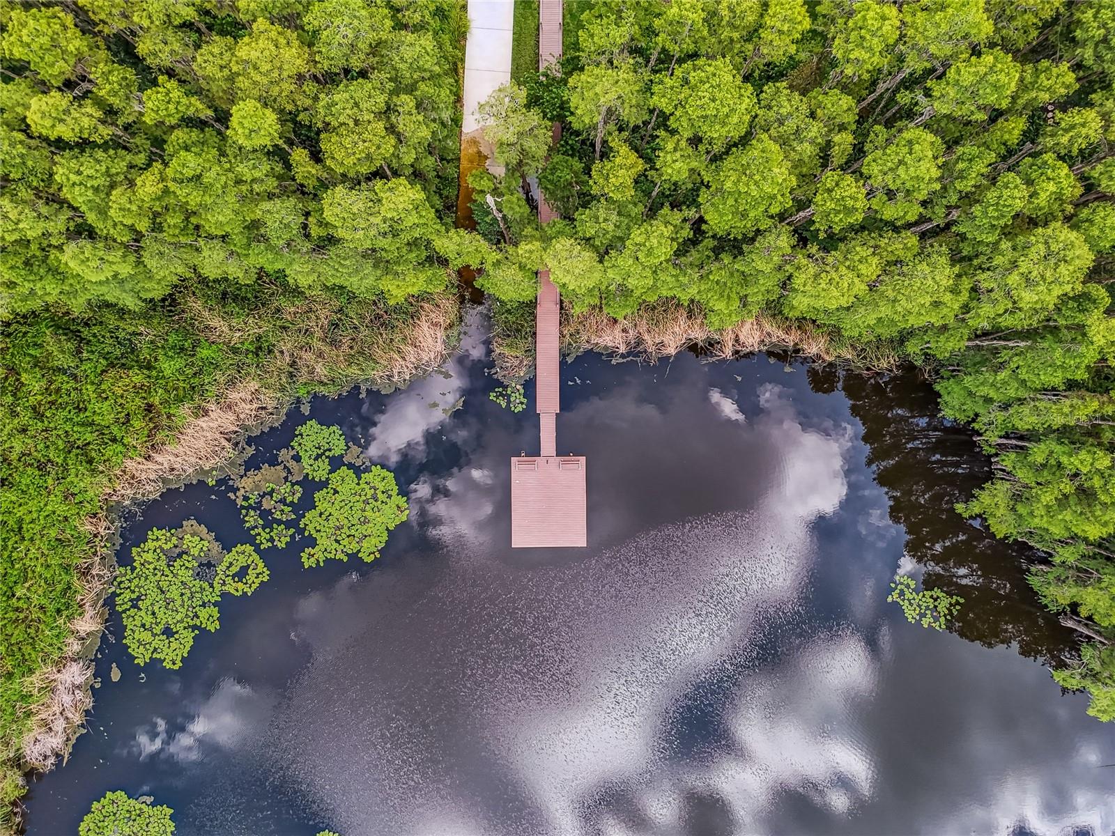 Bird Lake