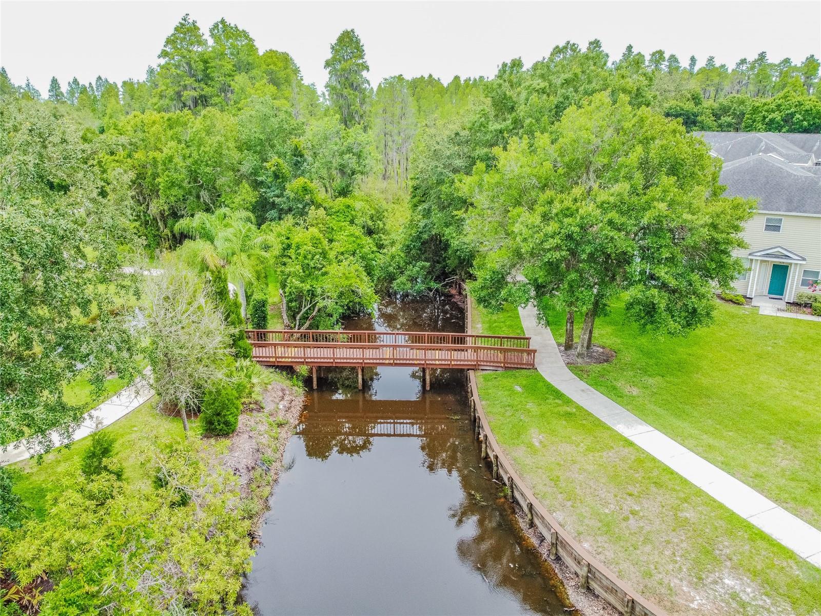 Nature Trail/Bridge