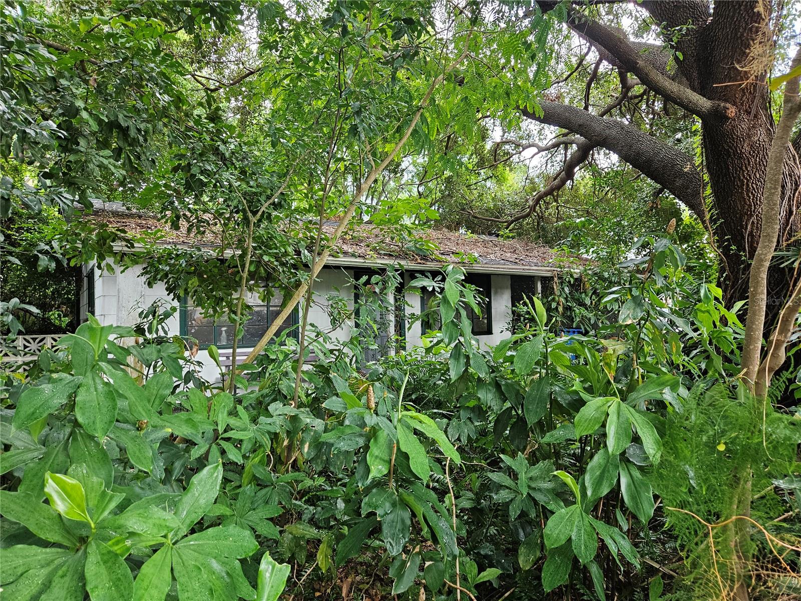 TB8415787